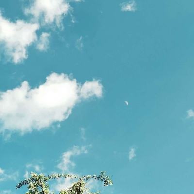 金博宝官网下载手机版